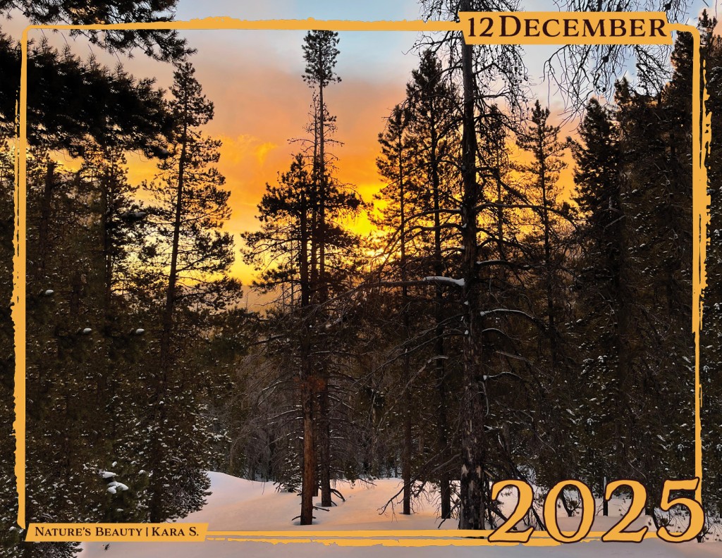 December - "Nature's Beauty" by Kara S