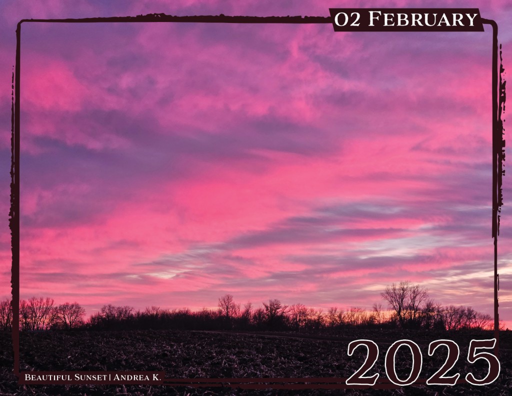 February - "Beautiful Sunset" by Andrea K