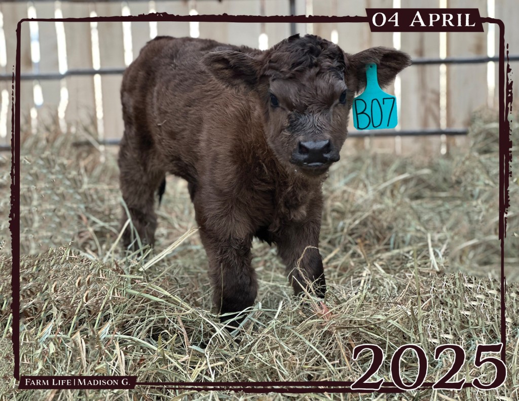 April - "Farm Life" by Madison G