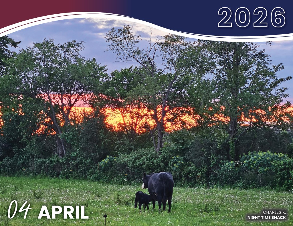 APRIL 2026 - NIGHT TIME SNACK | CHARLES K.