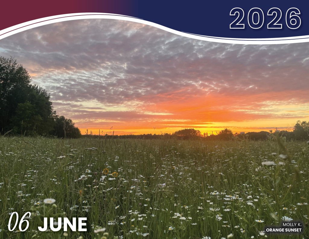 JUNE 2026 - ORANGE SUNSET | MOLLY K.