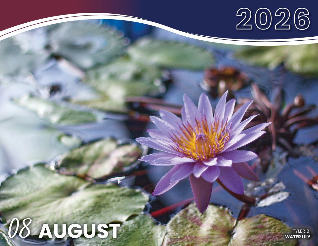 AUGUST 2026 - WATER LILY | TYLER B.
