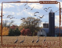 November - "Fall Reunion" by Joan E