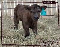 April - "Farm Life" by Madison G