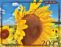 June - "Happy Sunflower" by Jennifer O